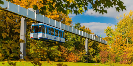 H-Bahn_05 Die H-Bahn fährt und Bäume in herbstlichen Farben sind rechts und links zu sehen.